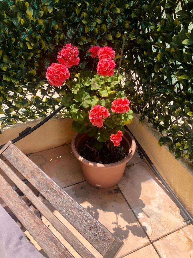 Mon Appart Avec Terrasse Et Piscine Roquebrune-Cap-Martin Zewnętrze zdjęcie